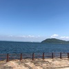 サンポート高松のバラ園