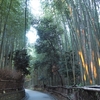 【京都ひとり旅】早朝の嵐山をお散歩