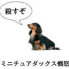 勘弁してください