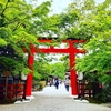 京都ぶらり　下賀茂神社　糺の森