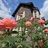 🌹旧古河庭園 秋のバラフェスティバル😊