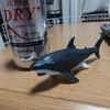 いろいろごと