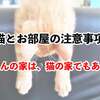ネコとお部屋の注意事項