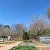 薬用植物園（東京都小平市）