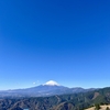 雪化粧した富士山眺めに丹沢へ