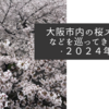 大阪市内の桜スポットなどを巡ってきました・２０２４年春