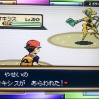 バグ利用法も掲載 幻のポケモンの自力色厳選をする方法まとめ 改造なし つくたろうのブログ