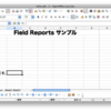  Field Reportsの使い方：単票(1) Hello World