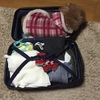 愛犬の樹木葬🌸