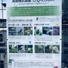 【散歩】英国様式庭園 Q-COURT - 新宿マルイ本館屋上の薔薇 ギリギリ間に合うの巻