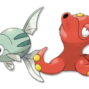 テッポウオがオクタンに進化するのはおかしい たっくんのブログ