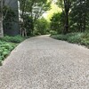「出口戦略」と”ガードレール”