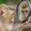 「老人性」感じ悪いんですけど