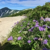 飯豊山山頂へ