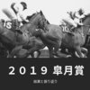 【競馬】２０１９ 皐月賞の結果と振り返り