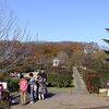 京成バラ園ではなく陶器市でもなく