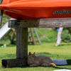 隣市南離島のねこさん