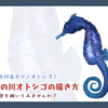 天の川オトシゴの描き方