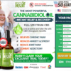 Mighty Leaf CBD Oil - Read Reviews, Uses, Benefits, And Where To Buy!! 