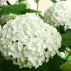 ７月もよろしくお願いいたします。