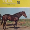 1975.10 優駿 1975年10月号　ファラモンド／札幌で最初の当歳せり／北海道のサラ系二歳市場／メシアの生誕　1975年キング・ジョージ（グランディ）