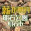 今年も明石公園で伐採された樹木が無料配布されるようです　明石市