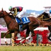 12/8(日)　阪神JF[データ]