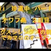 オワフ島ドライブ・エッグスシングスの朝食＆ダラーの黄色いカマロ　🏎^^!