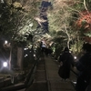 ♡京都旅行②　年越し　八坂神社　知恩院　高台寺