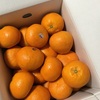 伊予柑🍊🍊