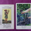 ペンタクルスのペイジのカード【The Herbcrafter's Tarotとライダーウェイト版を比べてみた】