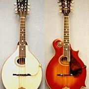 Gibson マンドリン 1916年　ハードケース付き 多様な Gibson ハードケース付き 1916年 マンドリン 弦楽器 - 弦楽器