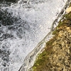 水辺の風景