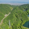 中之島（芝）池・北今池（大阪府太子）