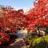 そうだ京都へ行こう　紅葉が見頃の一休寺へ