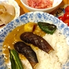 Fire生活1年353日目 〜肉じゃがを味変してカレーを作った日〜