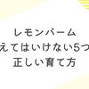 レモンバームを庭に植えてはいけない5つの理由と正しい育て方