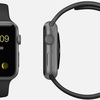 【ΦωΦ】AppleWatchが変