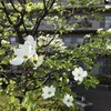 わずかでも雨は雨