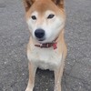 忙しくなる日々…