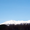 地虫出づがれきの山の脇からも