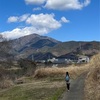 大山新道のおかめ桜🌸 不動越・秦浜送電鉄塔コース・上原地区に下山