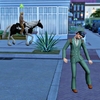 Horse Ranch（24）