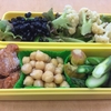 初物☆アスパラ☆お弁当