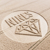  Nines / Crop Circle