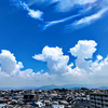 ぞうさん