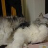 今日は風が強いです～。