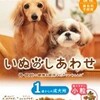 【ドッグフード】【小型犬用】いぬのしあわせ　小粒　口コミと最安値ショップ情報はコチラ！！