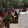 葛木坐火雷神社（笛吹神社）　御田植祭