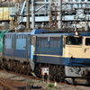 EF65 2101+EH200-901充当8097レなど　貨物列車撮影 6/29